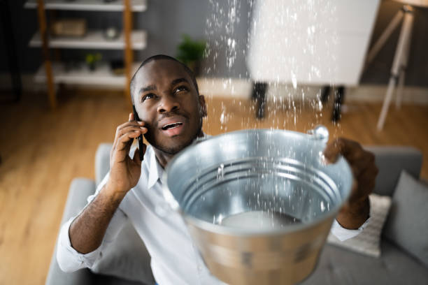 Best Basement water damage restoration  in Farmington, MO