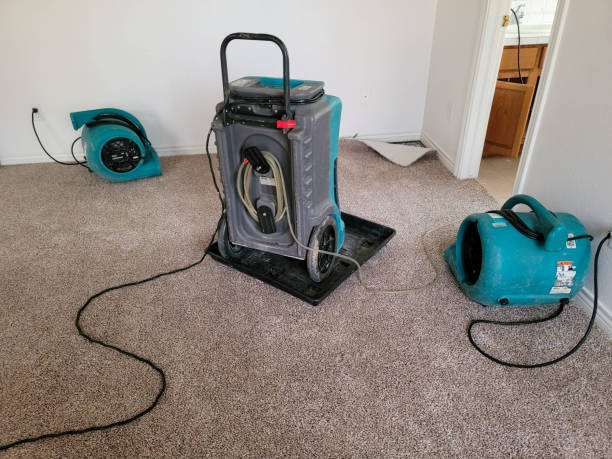 Water damage restoration process in Farmington, MO