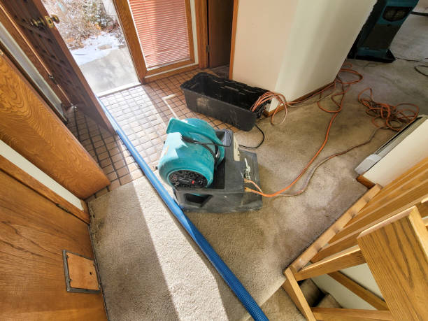 Trusted Farmington, MO Water damage restoration Experts