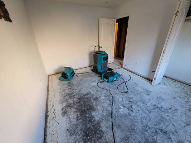 Best 24/7 water damage repair  in Farmington, MO