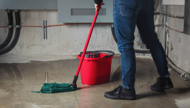 Best Local water damage restoration  in Farmington, MO