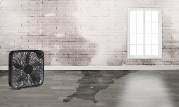 Best Residential water damage restoration  in Farmington, MO