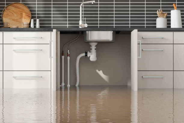 Best Commercial water damage restoration  in Farmington, MO