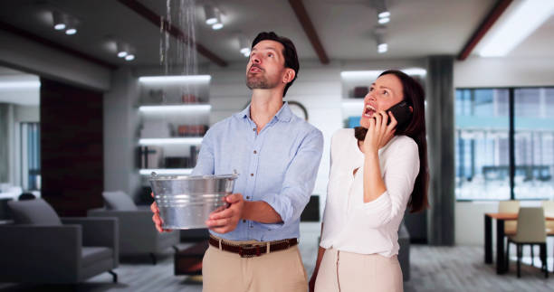 Best Ceiling water damage repair  in Farmington, MO